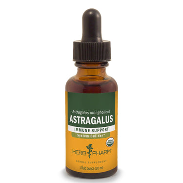 Astragalus - My Village Green